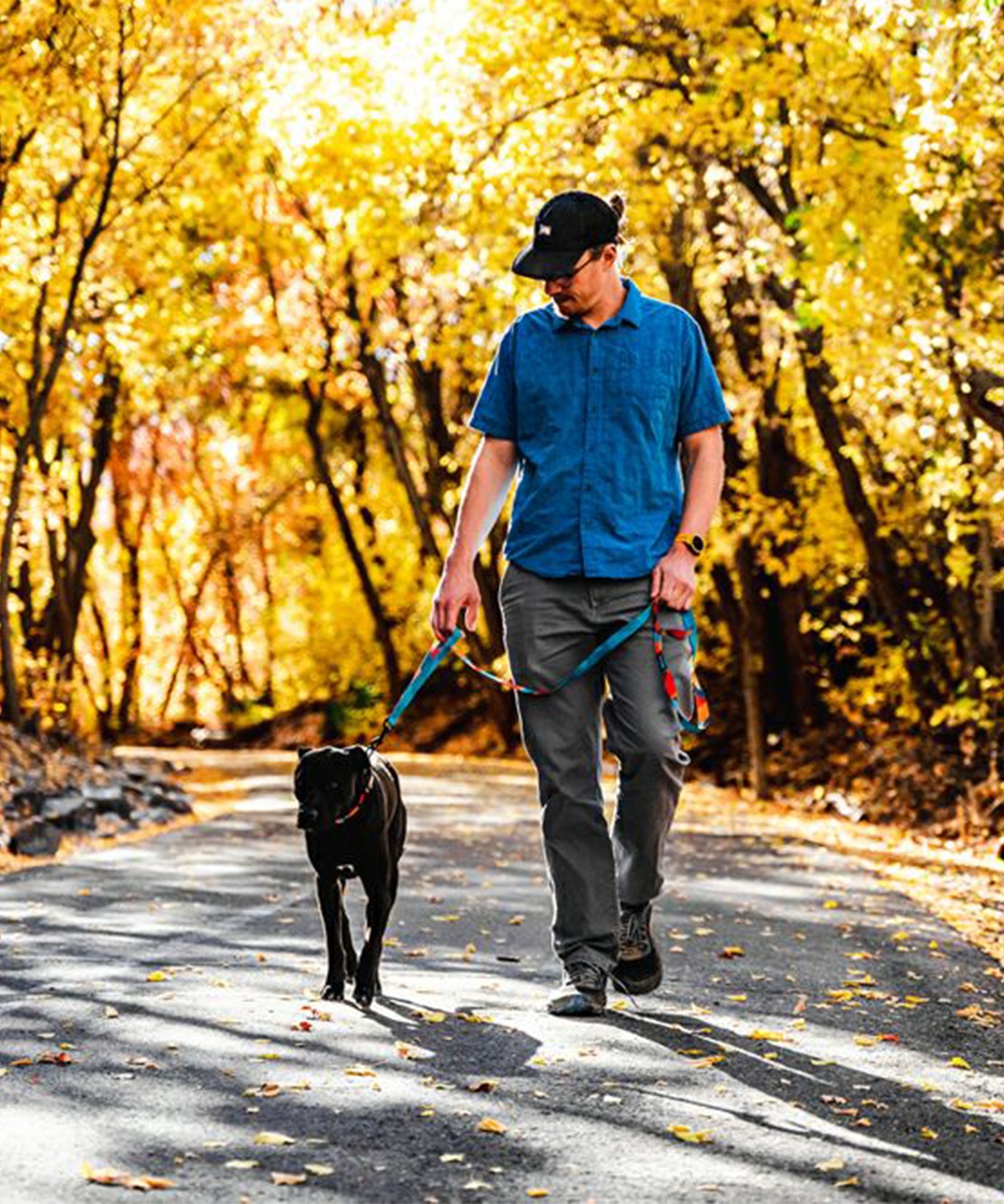 WOLFGANG ウルフギャング 犬用 ハーネス ShatterShapes Harness L