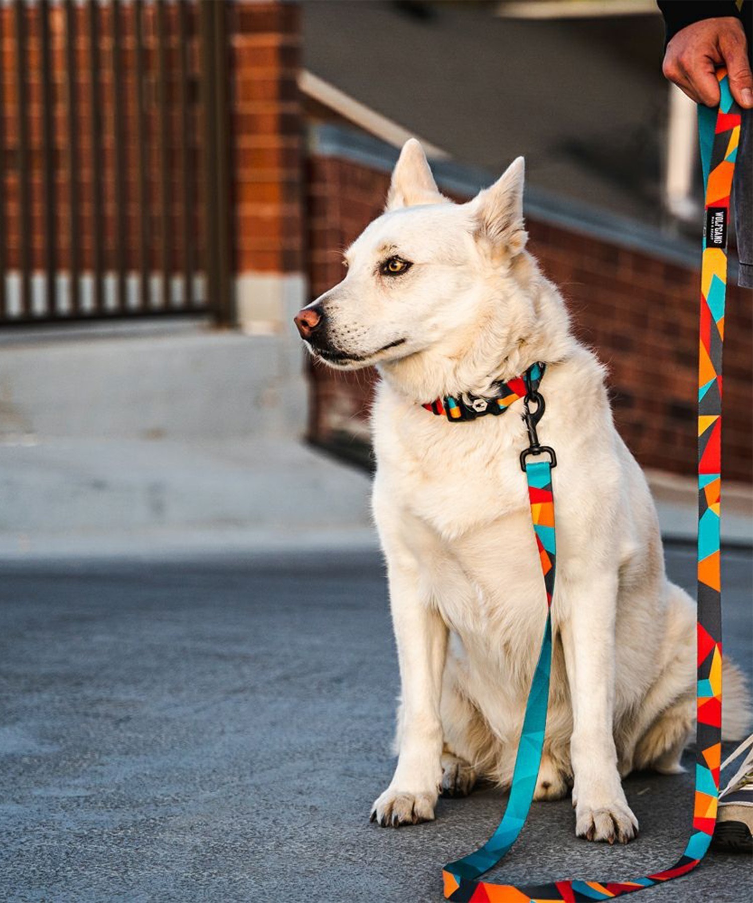 WOLFGANG ウルフギャング 犬用 リード ShatterShapes Leash Sサイズ 小型犬用 シャッターシェイプス リーシュ マルチカラー WL-001-105(MULTI-S)