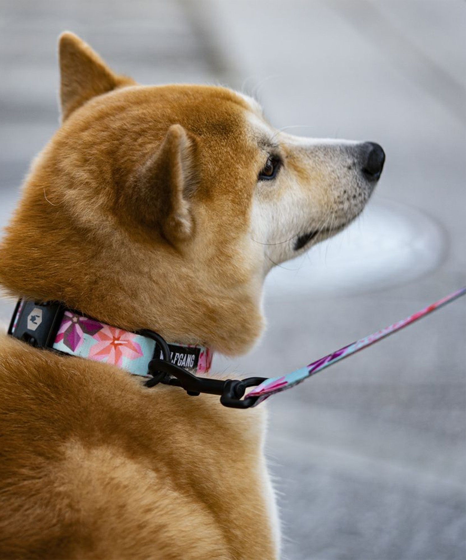 WOLFGANG ウルフギャング 犬用 リード DigiFloral Leash Sサイズ 小型犬用 デジフローラル リーシュ ピンク系 WL-001-96(PK-S)