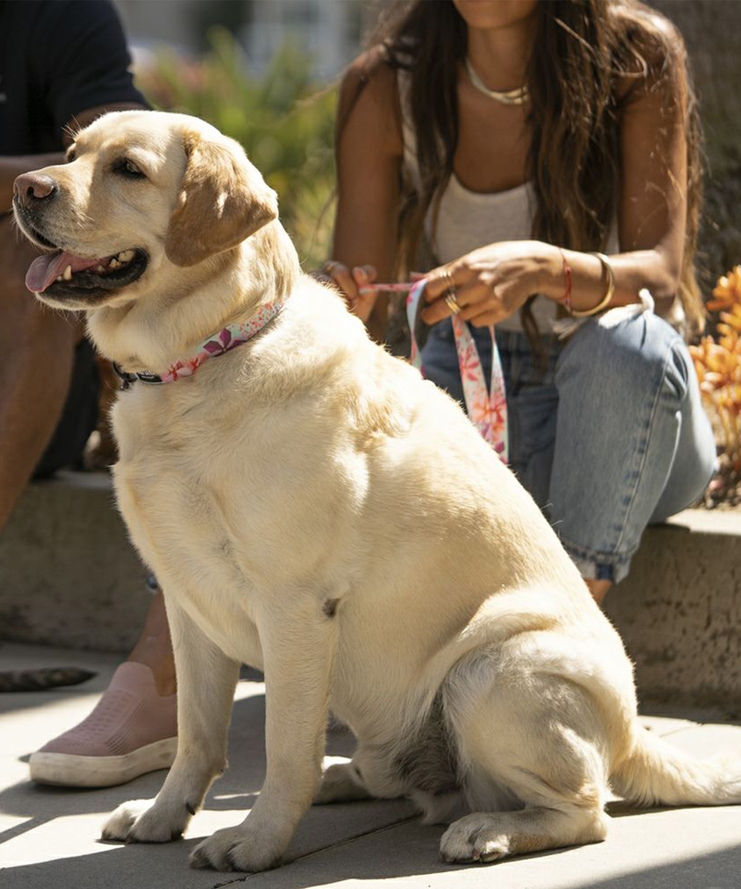 WOLFGANG ウルフギャング 犬用 リード DigiFloral Leash Sサイズ 小型犬用 デジフローラル リーシュ ピンク系 WL-001-96(PK-S)