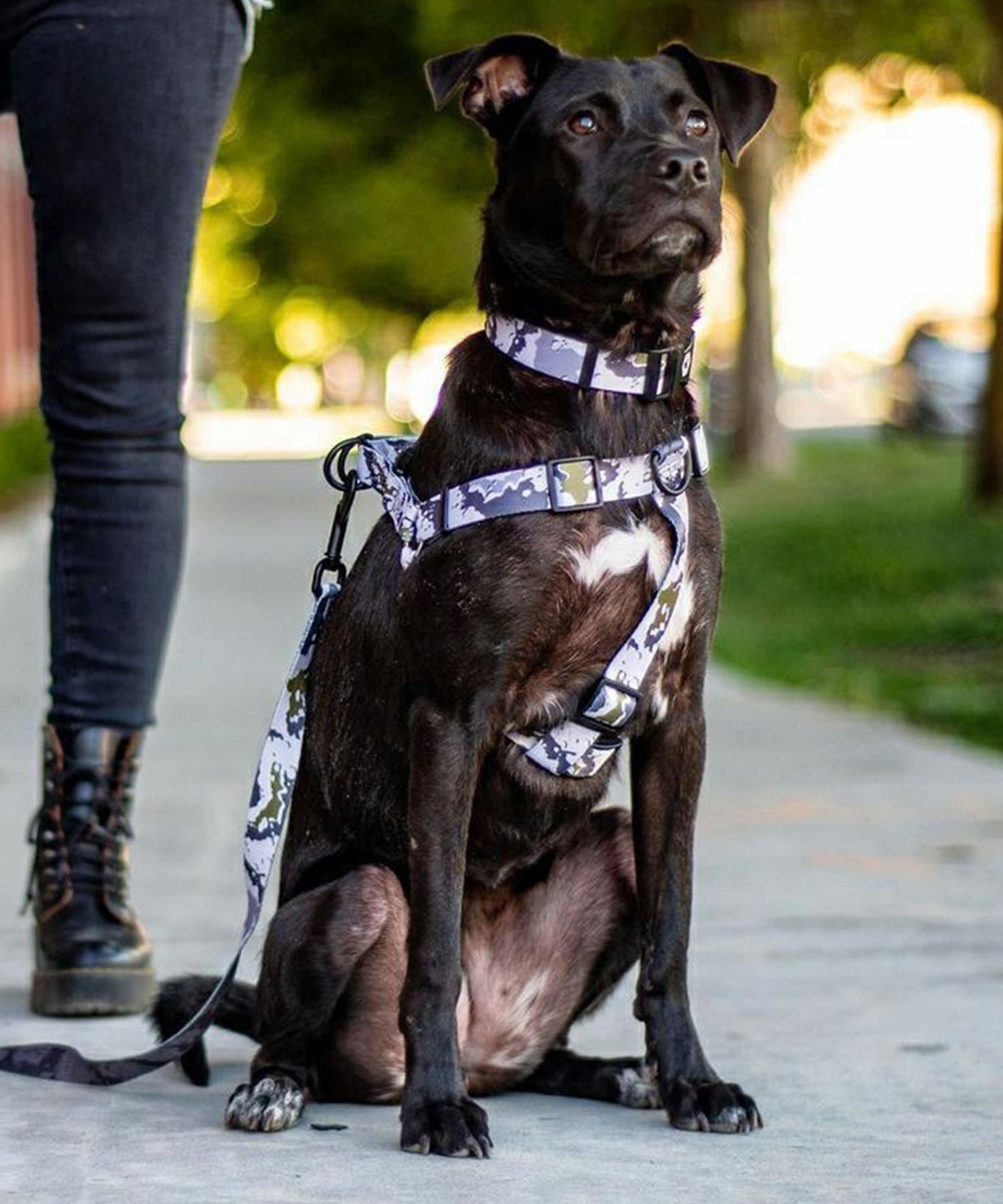 WOLFGANG ウルフギャング 犬用 ハーネス HideOut Harness Mサイズ 小型犬用 中型犬用 胴輪 ハイドアウト 迷彩柄 グレー系 WH-002-84(CAMO-M)