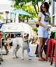 WOLFGANG ウルフギャング 犬用 リード MarbleWave Leash Lサイズ 中型犬用 大型犬用 マーブルウェイブ リーシュ ブルー系 WL-003-102(PU-L)
