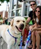 WOLFGANG ウルフギャング 犬用 リード MarbleWave Leash Lサイズ 中型犬用 大型犬用 マーブルウェイブ リーシュ ブルー系 WL-003-102(PU-L)