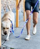 WOLFGANG ウルフギャング 犬用 リード MarbleWave Leash Lサイズ 中型犬用 大型犬用 マーブルウェイブ リーシュ ブルー系 WL-003-102(PU-L)