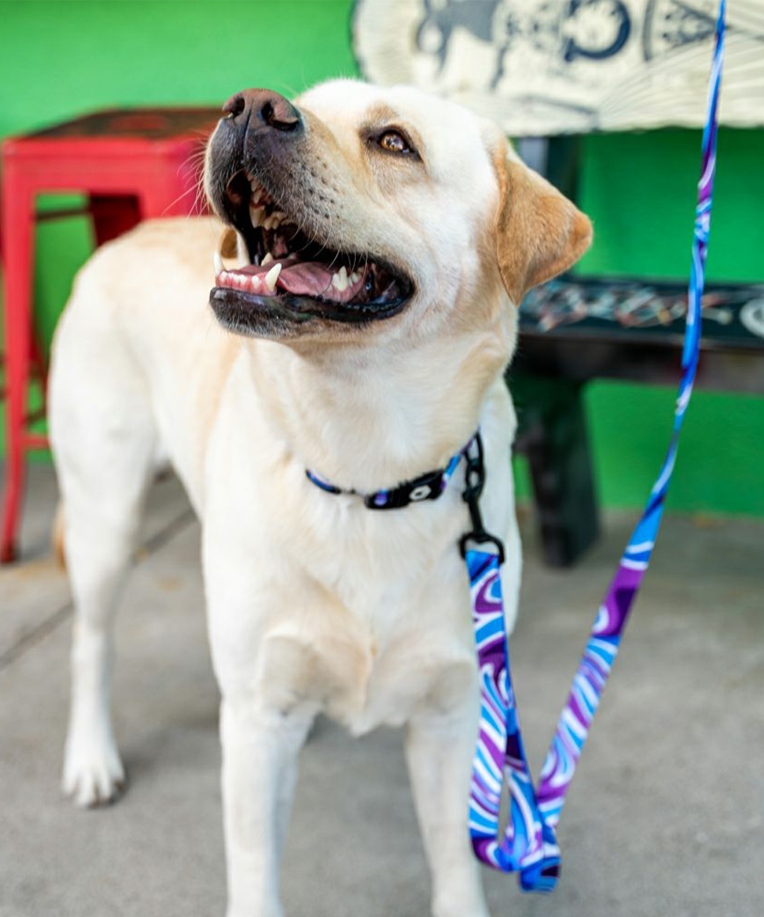 WOLFGANG ウルフギャング 犬用 リード MarbleWave Leash Lサイズ 中型犬用 大型犬用 マーブルウェイブ リーシュ ブルー系 WL-003-102(PU-L)