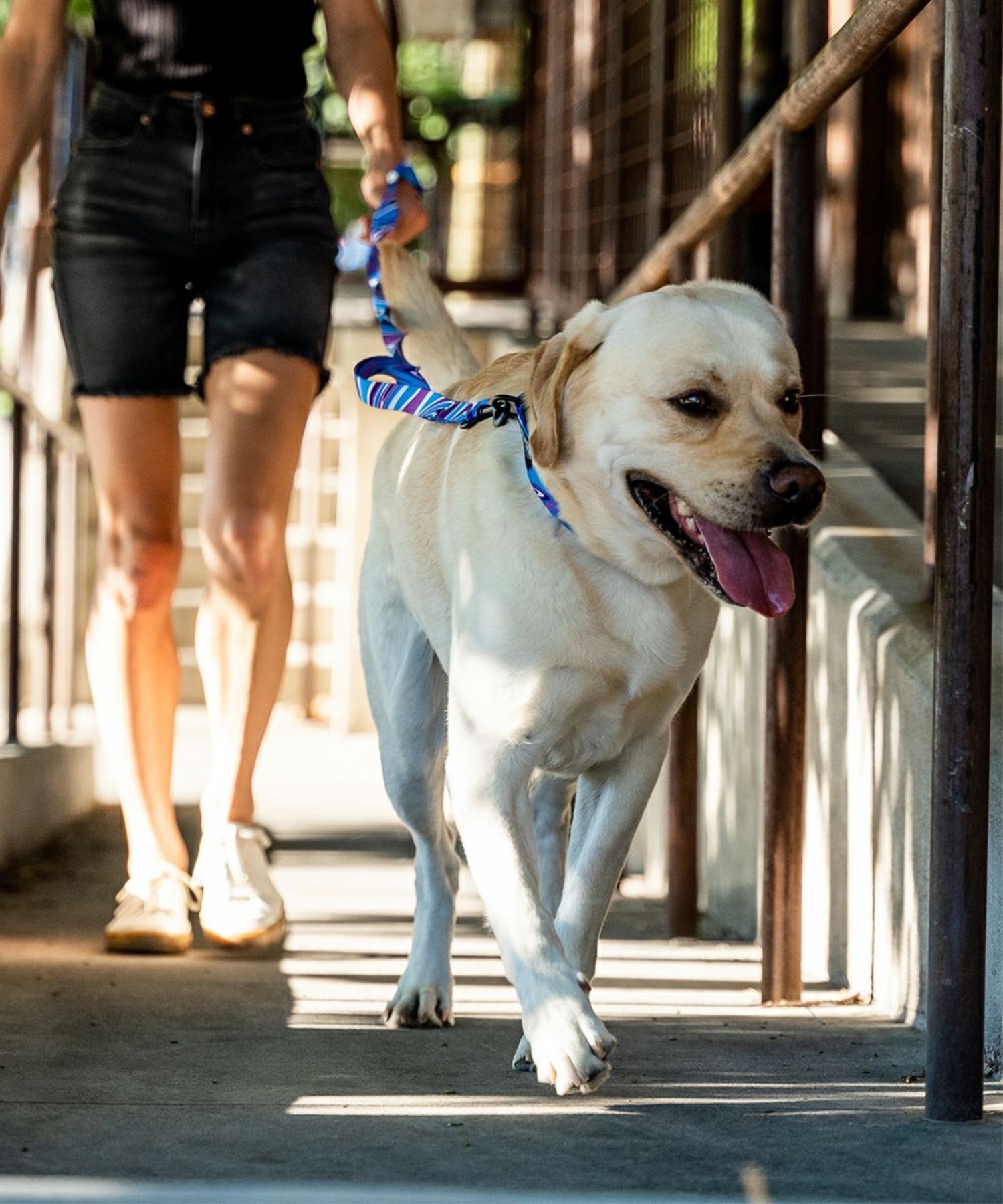 WOLFGANG ウルフギャング 犬用 リード MarbleWave Leash Lサイズ 中型犬用 大型犬用 マーブルウェイブ リーシュ ブルー系 WL-003-102(PU-L)