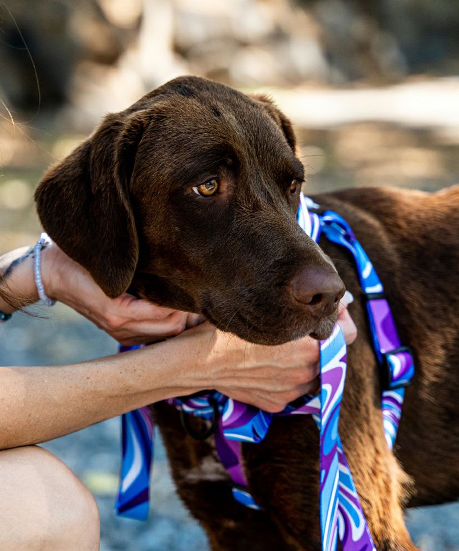 WOLFGANG ウルフギャング 犬用 リード MarbleWave Leash Lサイズ 中型犬用 大型犬用 マーブルウェイブ リーシュ ブルー系 WL-003-102(PU-L)