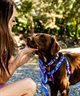 WOLFGANG ウルフギャング 犬用 リード MarbleWave Leash Lサイズ 中型犬用 大型犬用 マーブルウェイブ リーシュ ブルー系 WL-003-102(PU-L)