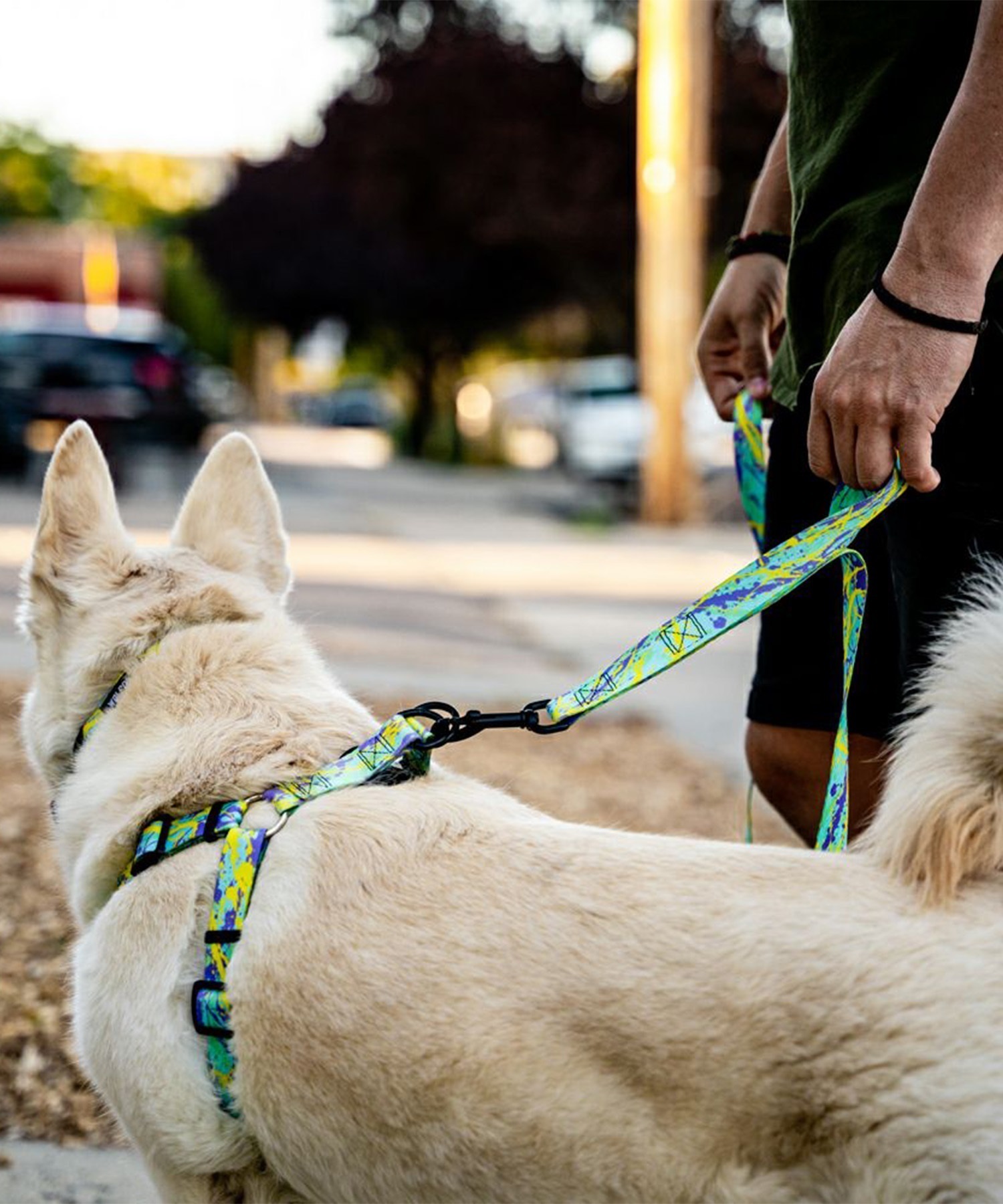 WOLFGANG ウルフギャング 犬用 リード ModernCanvas Leash Lサイズ 中型犬用 大型犬用 モダンキャンバス リーシュ グリーン系 WL-003-103(GR-L)