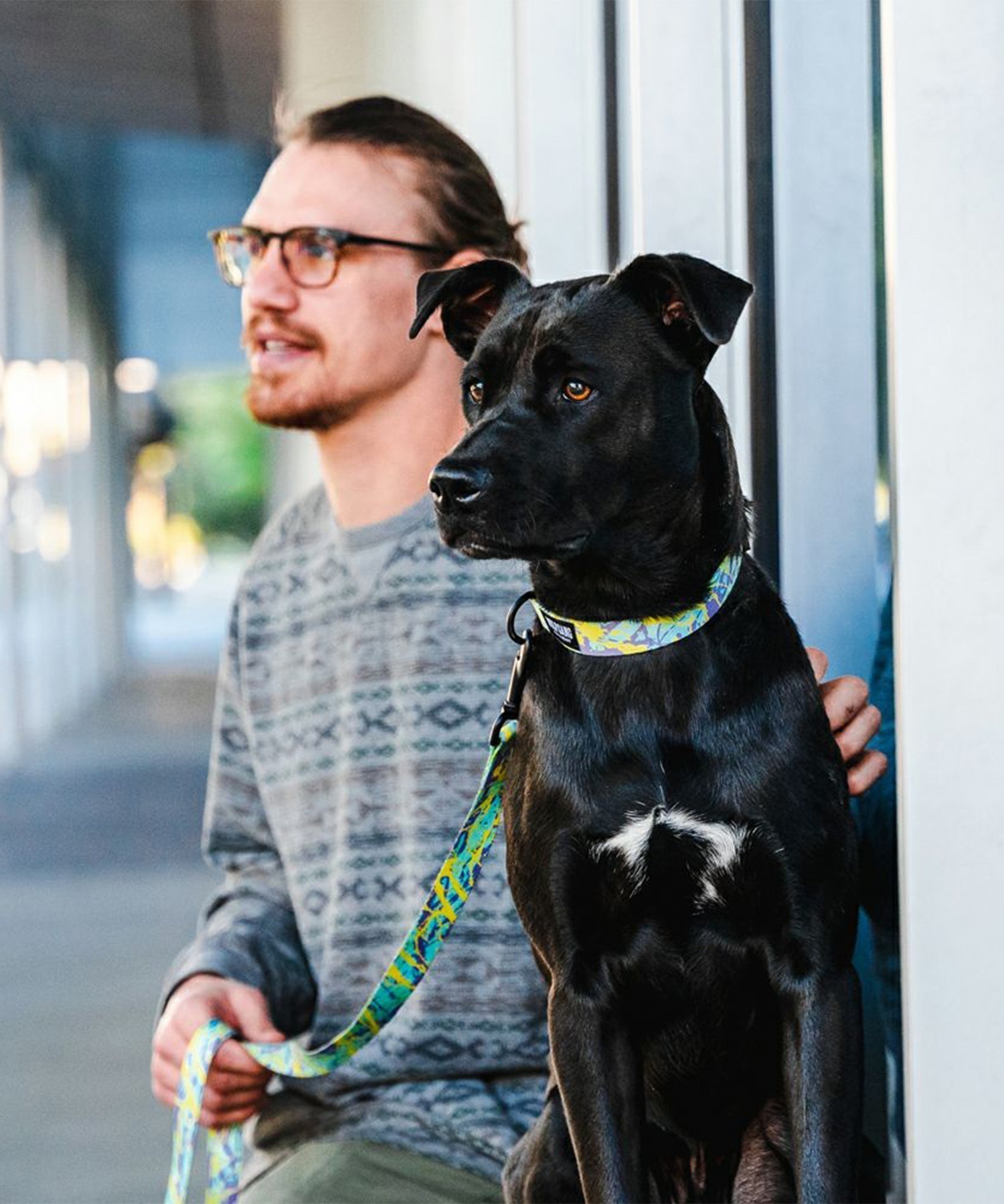 WOLFGANG ウルフギャング 犬用 リード ModernCanvas Leash Lサイズ 中型犬用 大型犬用 モダンキャンバス リーシュ グリーン系 WL-003-103(GR-L)