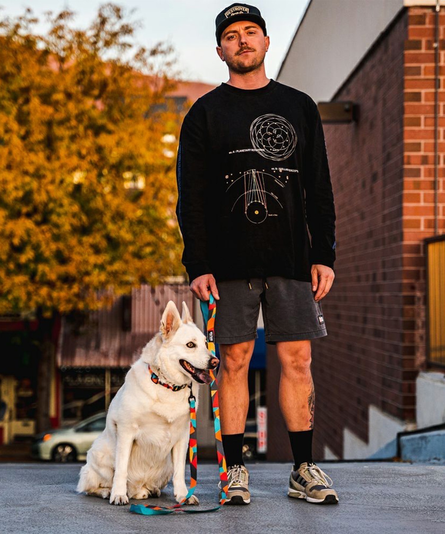 WOLFGANG ウルフギャング 犬用 リード ShatterShapes Leash Lサイズ 中型犬用 大型犬用 シャッターシェイプス リーシュ マルチカラー WL-003-105(MULTI-L)