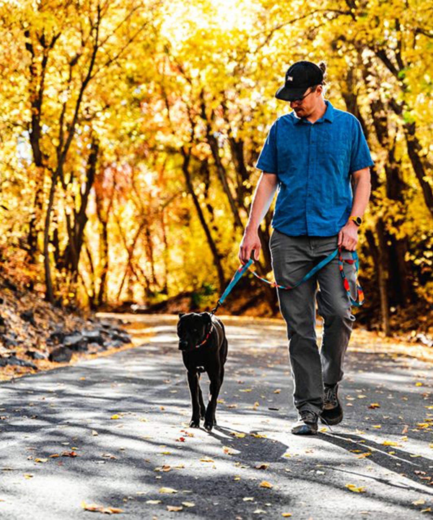 WOLFGANG ウルフギャング 犬用 リード ShatterShapes Leash Lサイズ 中型犬用 大型犬用 シャッターシェイプス リーシュ マルチカラー WL-003-105(MULTI-L)