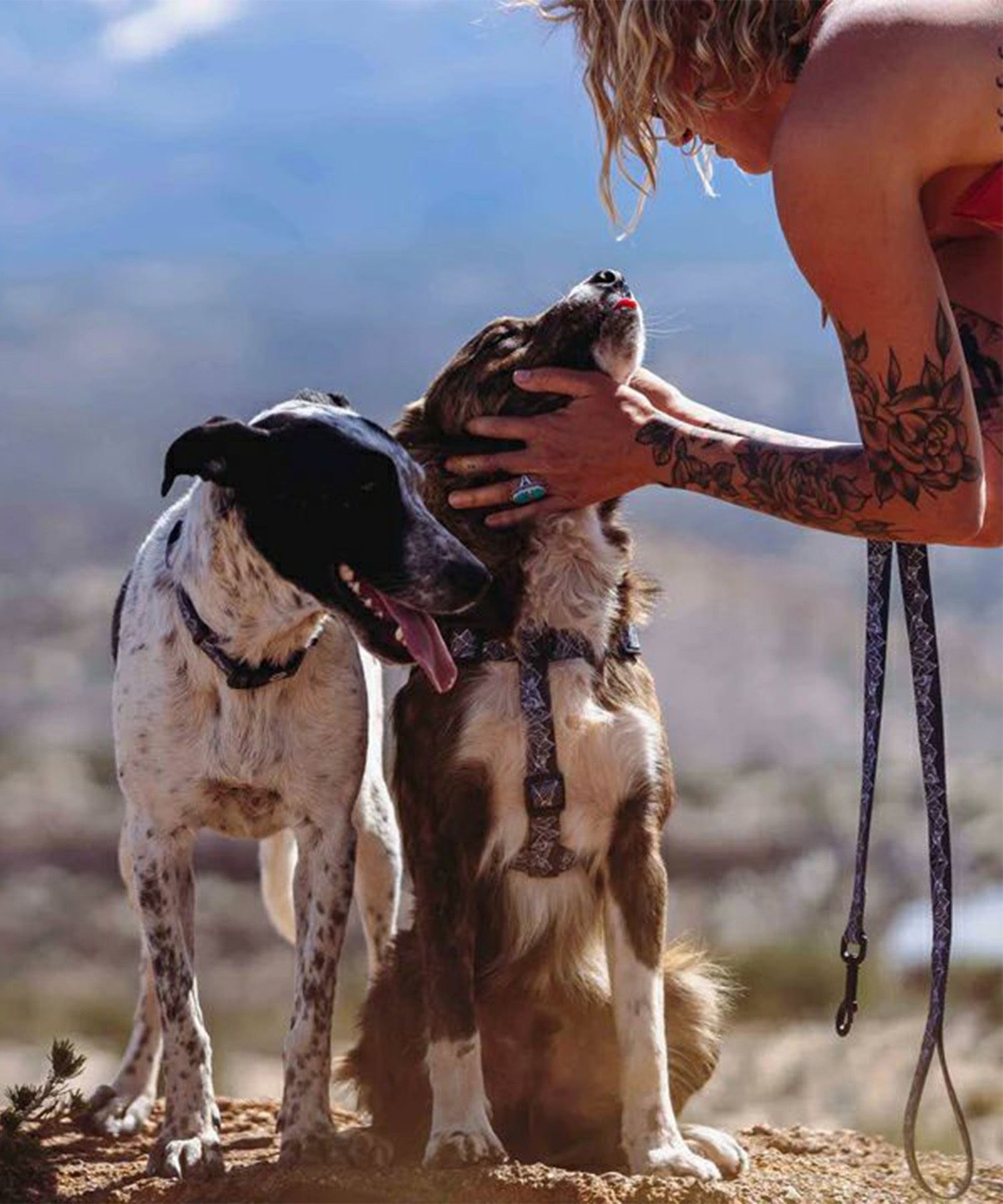 WOLFGANG ウルフギャング 犬用 リード WolfMountain Leash Lサイズ 中型犬用 大型犬用 ウルフマウンテン リーシュ グレー系 WL-003-83(GY-L)