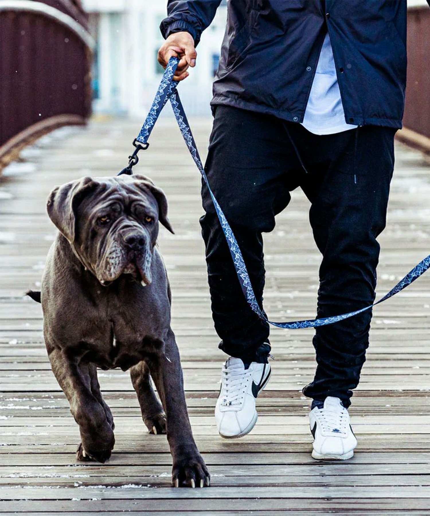 WOLFGANG ウルフギャング 犬用 リード WolfMountain Leash Lサイズ 中型犬用 大型犬用 ウルフマウンテン リーシュ グレー系 WL-003-83(GY-L)