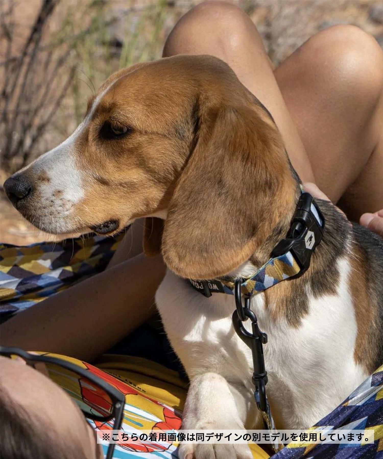 WOLFGANG ウルフギャング 犬用 首輪 GrandView MARTINGALE Lサイズ 中型犬用 大型犬用 グランドビュー マーチンゲール ハーフチョーク マルチカラー WM-503-02(MULTI-L)