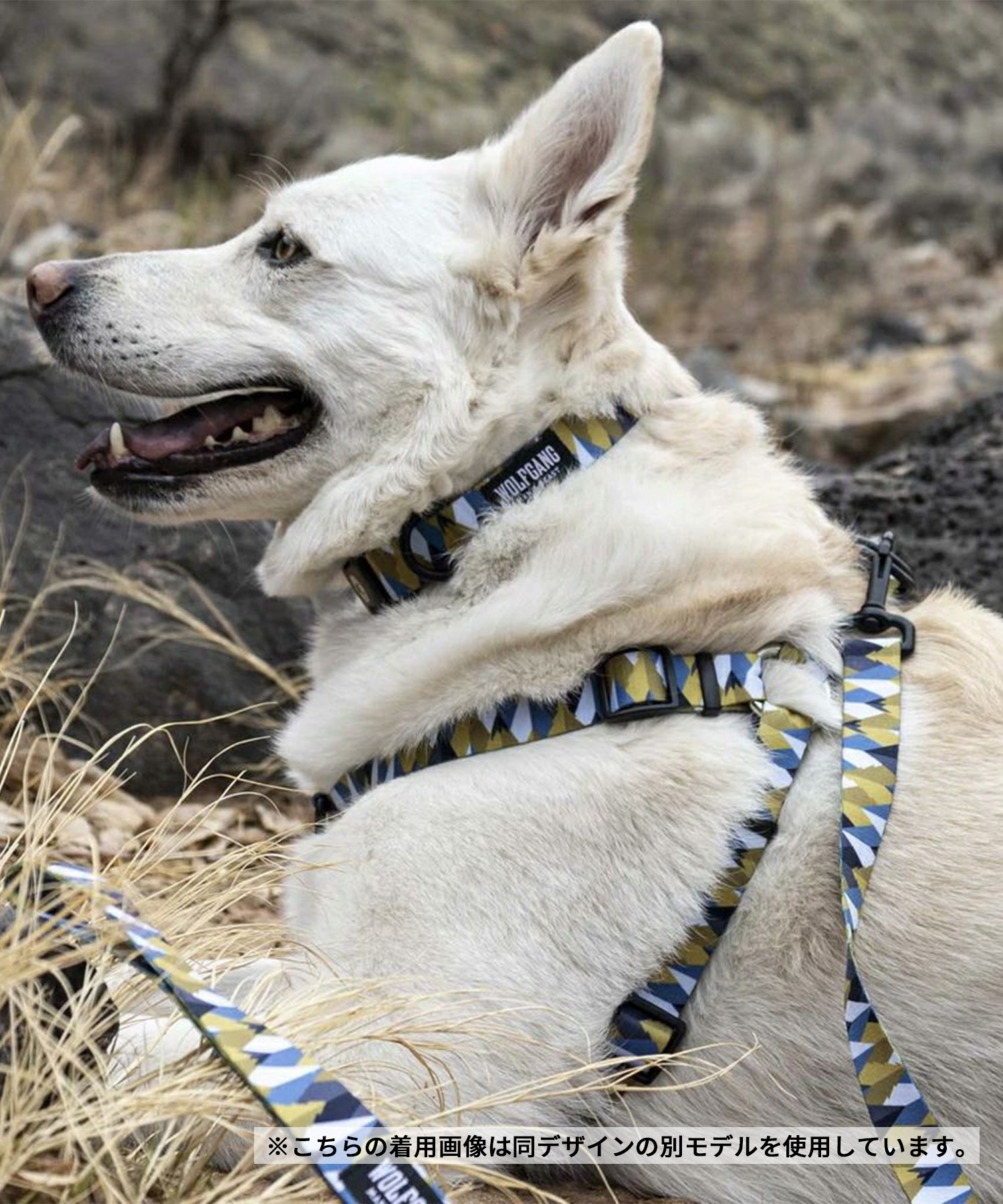 WOLFGANG ウルフギャング 犬用 首輪 GrandView MARTINGALE Lサイズ 中型犬用 大型犬用 グランドビュー マーチンゲール ハーフチョーク マルチカラー WM-503-02(MULTI-L)