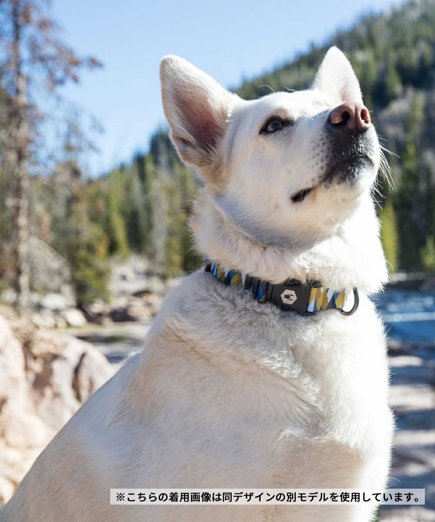 WOLFGANG ウルフギャング 犬用 首輪 GrandView MARTINGALE Lサイズ 中型犬用 大型犬用 グランドビュー マーチンゲール ハーフチョーク マルチカラー WM-503-02(MULTI-L)