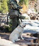 WOLFGANG ウルフギャング 犬用 首輪 GrandView MARTINGALE Lサイズ 中型犬用 大型犬用 グランドビュー マーチンゲール ハーフチョーク マルチカラー WM-503-02(MULTI-L)