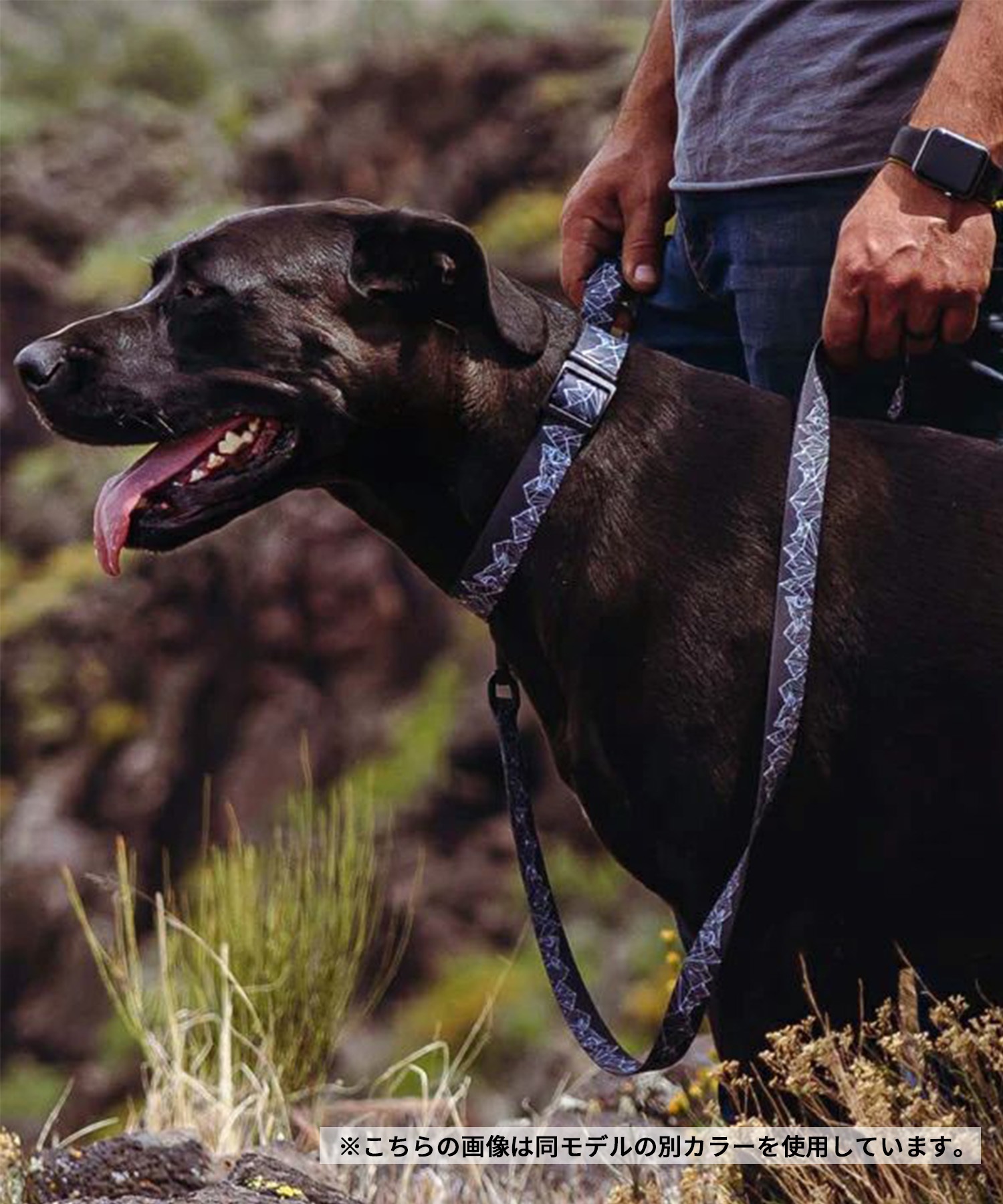 WOLFGANG ウルフギャング 犬用 首輪 SunsetPalms Martingale Lサイズ 中型犬用 大型犬用 サンセットパームス マーチンゲール ハーフチョーク WM-503-86(BL-L)