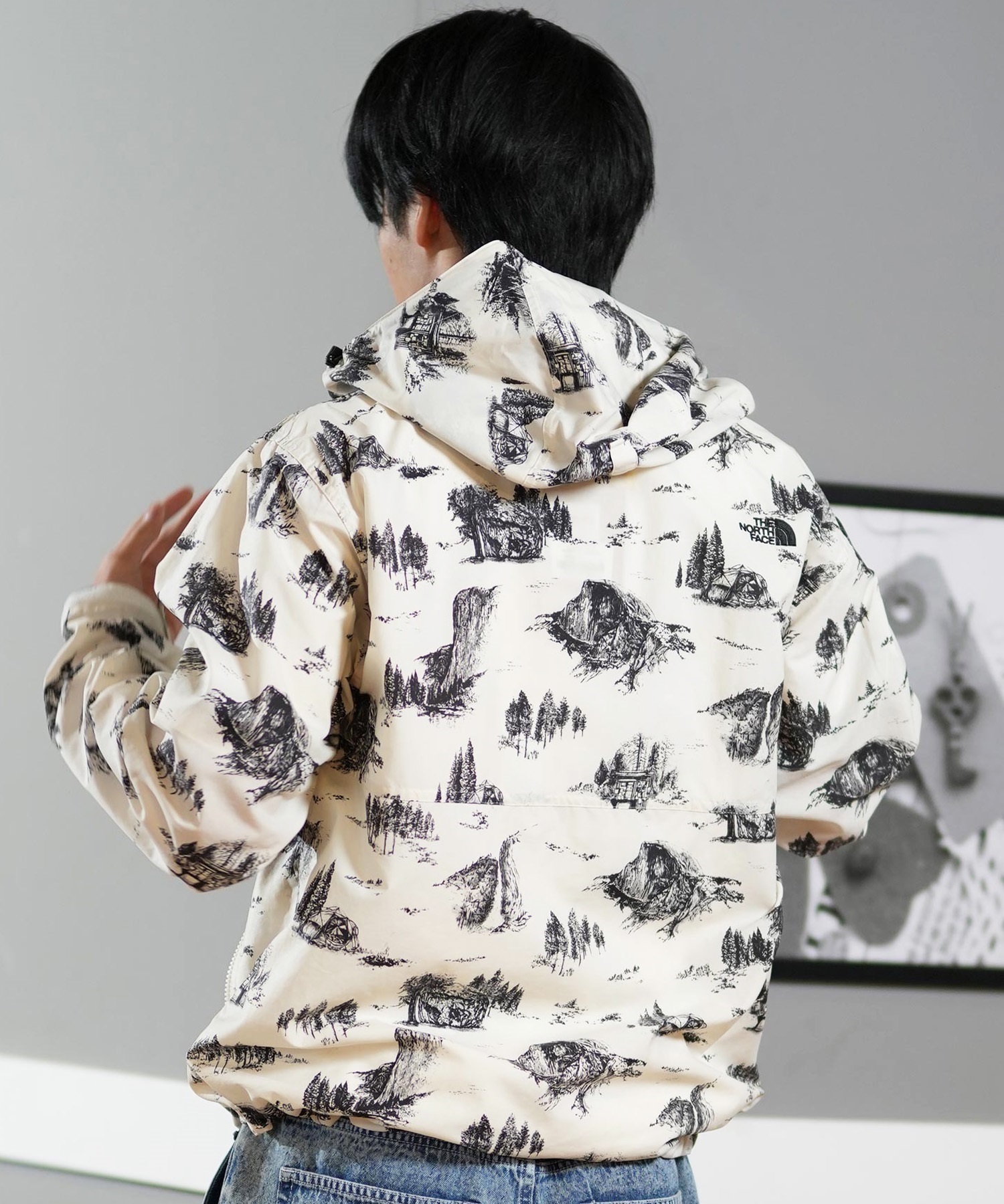 THE NORTH FACE ザ・ノース・フェイス メンズ ジャケット Novelty