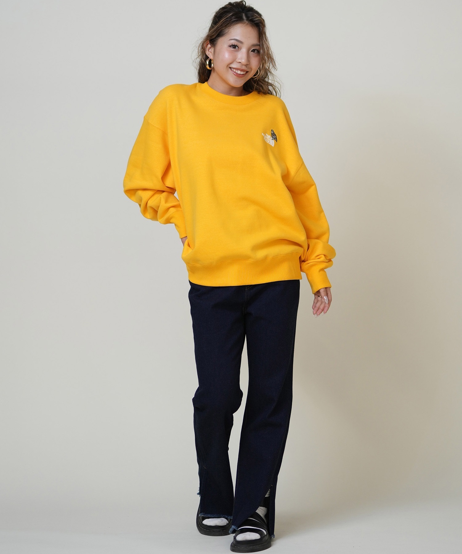 THE NORTH FACE ザ・ノース・フェイス トレーナー スウェット