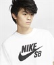 NIKE SB ナイキエスビー 半袖 Tシャツ メンズ ロゴ スケートボード Tシャツ CV7540-100(100-M)