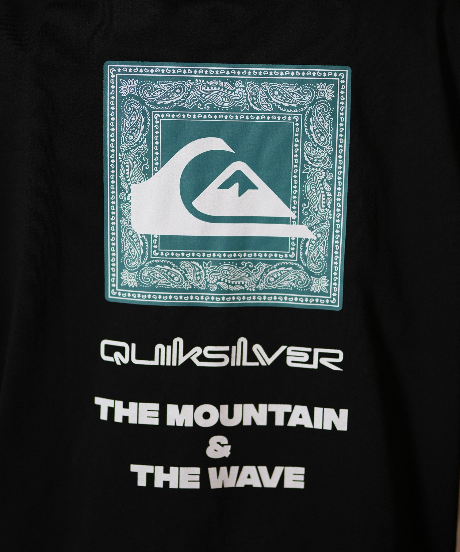 QUIKSILVER クイックシルバー 長袖 Tシャツ ロンT バック