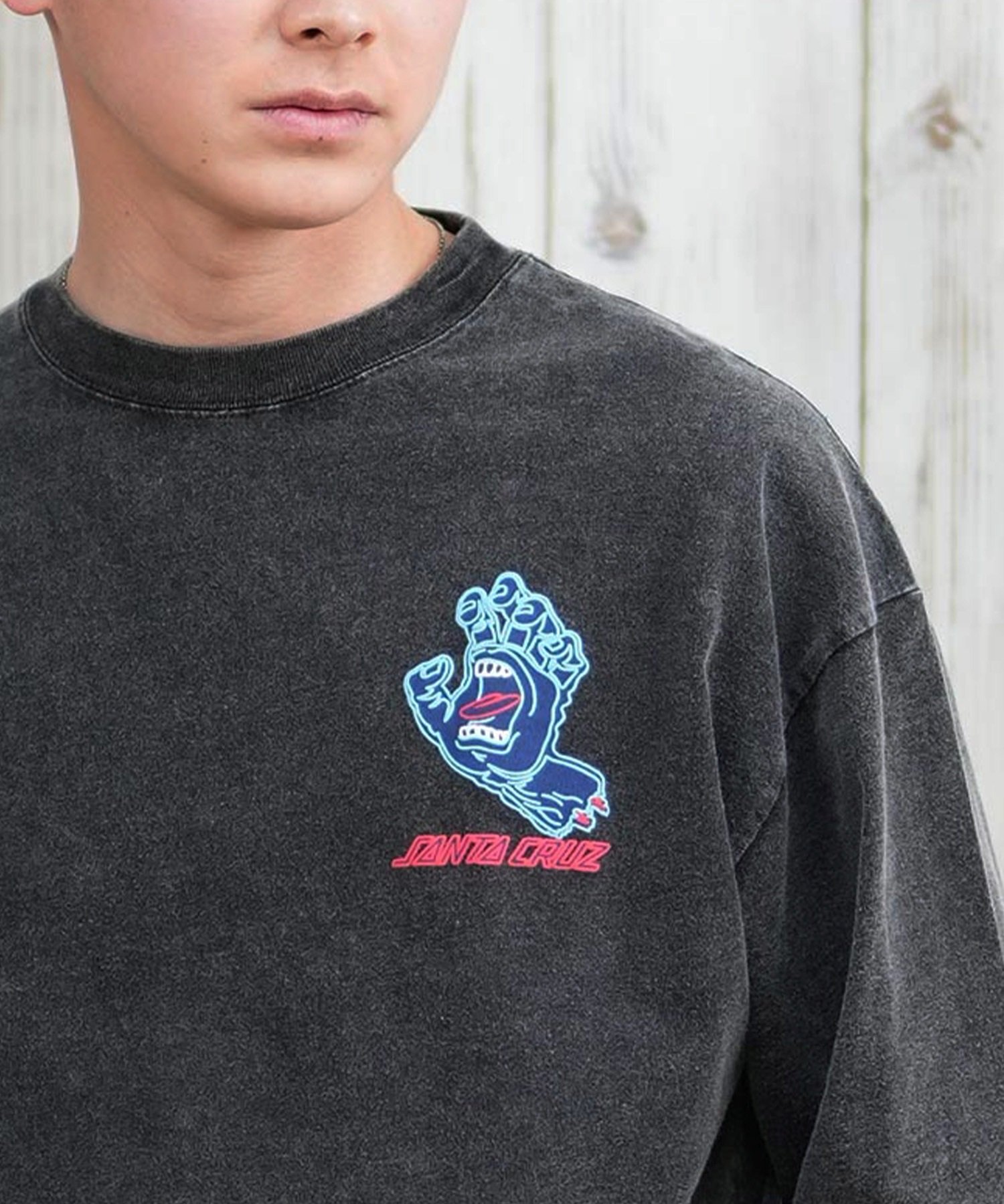 Santa Cruz ロンＴ SANTA CRUZ 特別価格 SANTACRUZ サンタクルーズ ロンT フロント