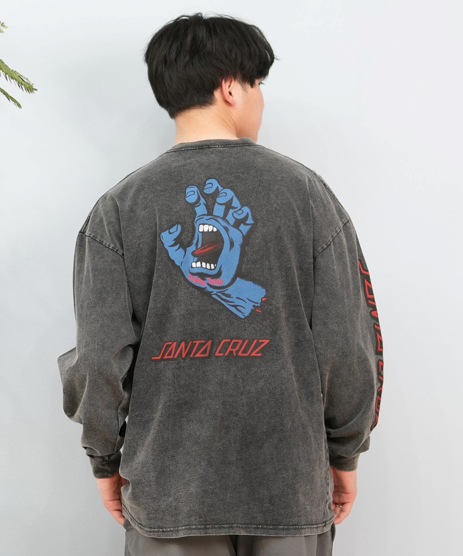 SANTACRUZ サンタクルーズ 長袖 Tシャツ メンズ ロンT バックプリント