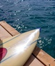 SURFCO サーフコ Super Slick Diamond Tip  CLASSIC ノーズガード スーパースリック セーフティー ムラサキスポーツ(GRY-ONESIZE)