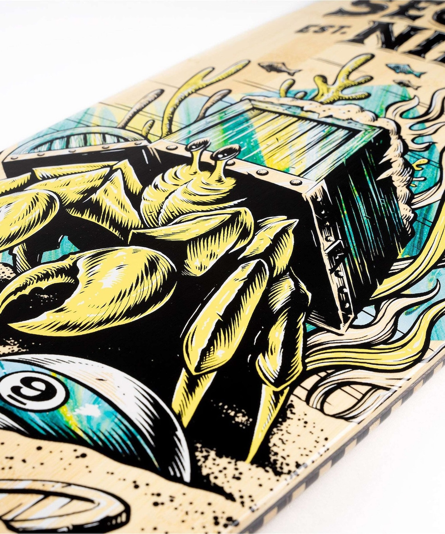 SECTOR9 セクターナイン スケートボード ロングスケート 34.0inch FORTUNE FT. POINT ムラサキスポーツ(FRTFP-34inch)