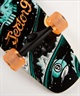 SECTOR9 セクターナイン スケートボード ロングスケート 34.0inch STRANDED STRAND(STRST-34inch)