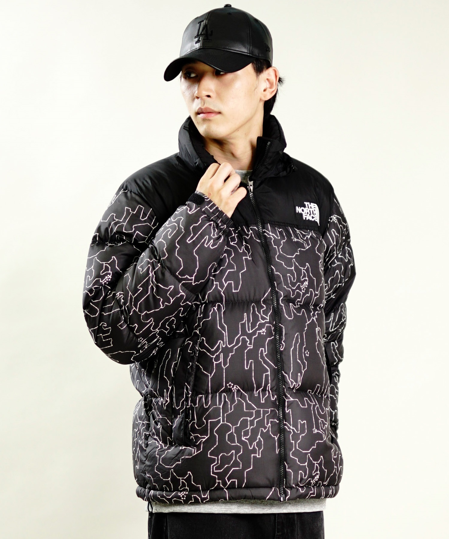 THE NORTH FACE ザ・ノース・フェイス メンズ ジャケット