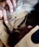THE NORTH FACE ザ・ノース・フェイス メンズ Antarctica Parka アンタークティカパーカ GORE-TEX ND92342(K-XS)