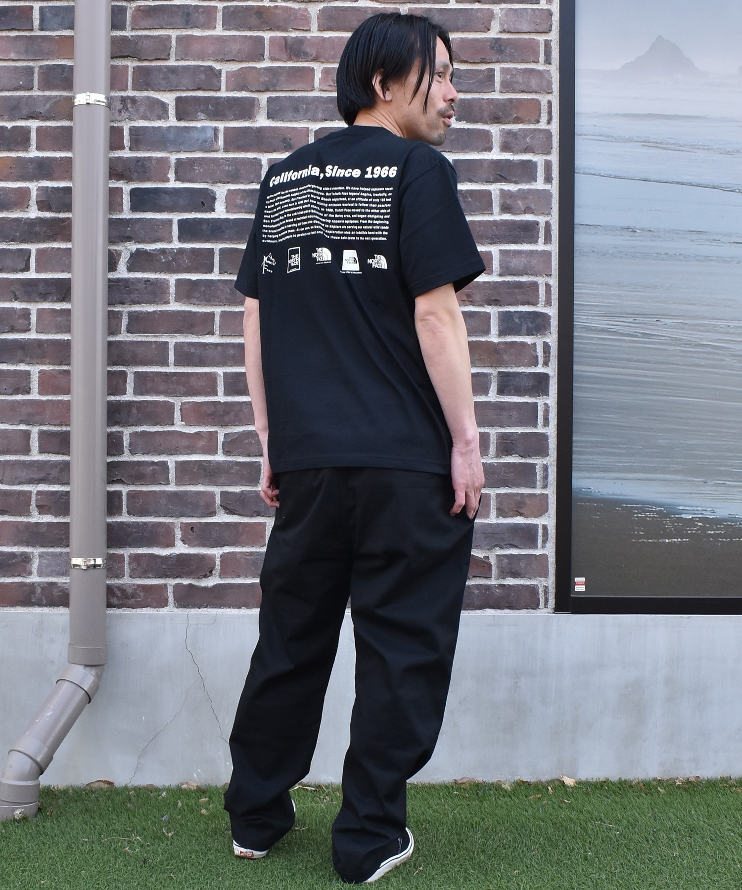 THE NORTH FACE ザ・ノース・フェイス 半袖 Tシャツ メンズ バック