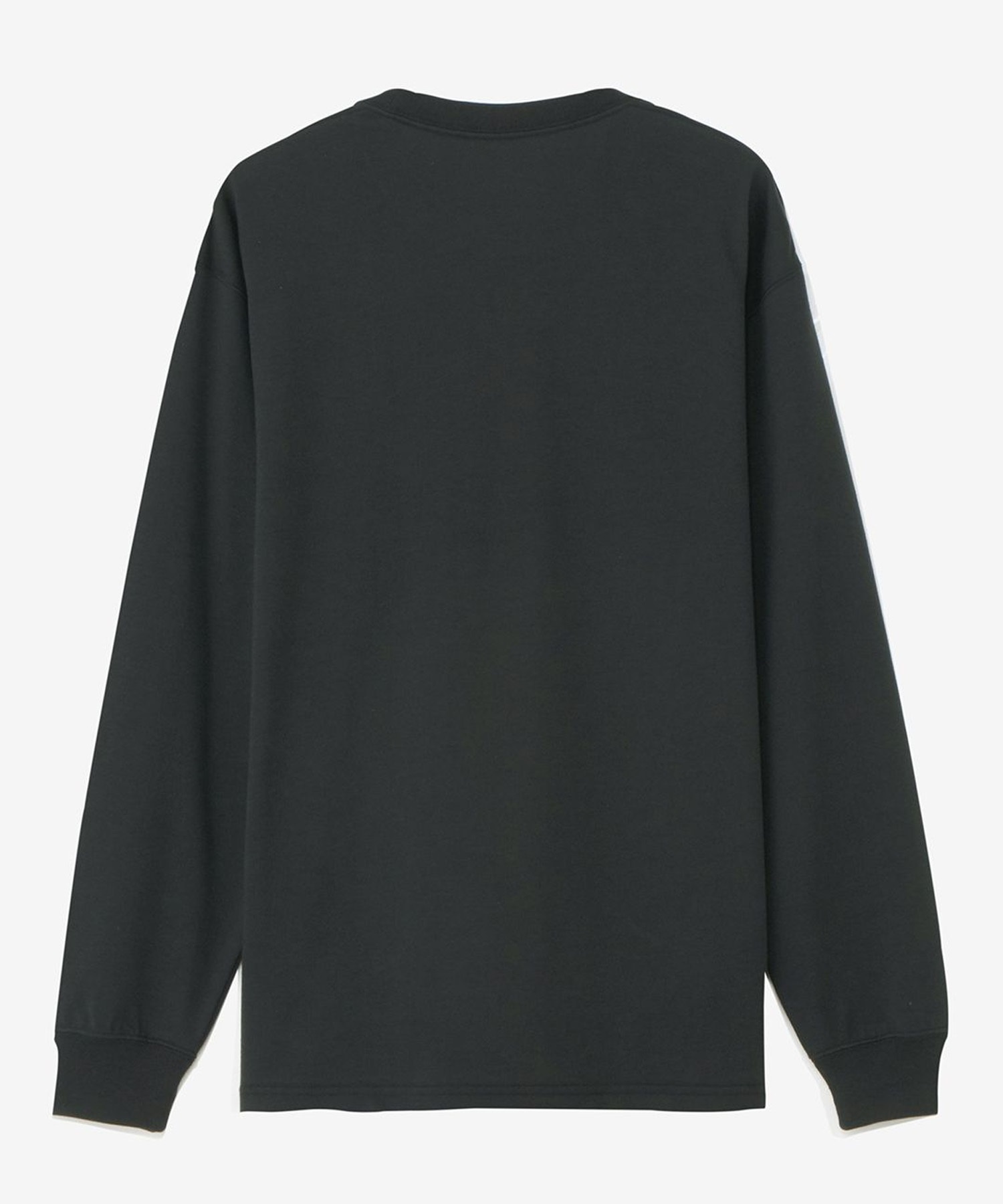THE NORTH FACE ザ・ノース・フェイス 長袖 Tシャツ ロンT メンズ