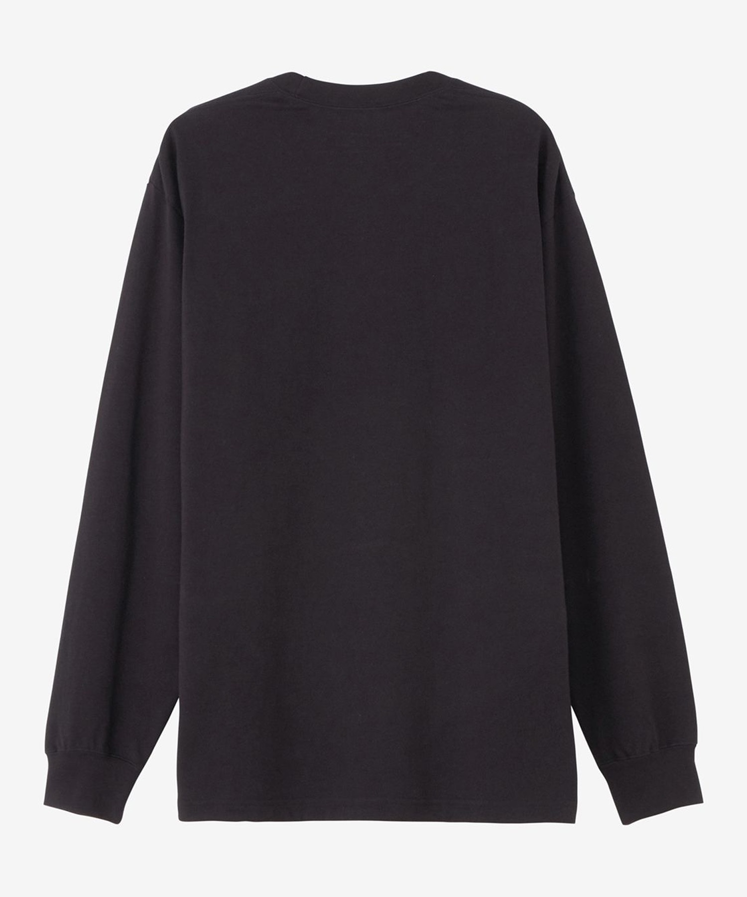 THE NORTH FACE ザ・ノース・フェイス 長袖 Tシャツ メンズ ロン