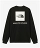 THE NORTH FACE ザ・ノース・フェイス 長袖 Tシャツ メンズ ロンT バックプリント ロングスリーブバックスクエアロゴティー NT82333(W2-S)