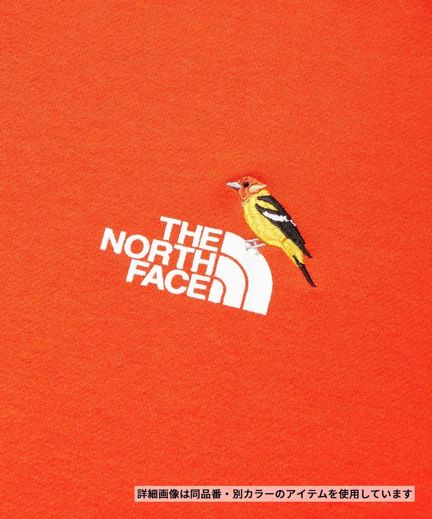 THE NORTH FACE ザ・ノース・フェイス パーカー レディース プル