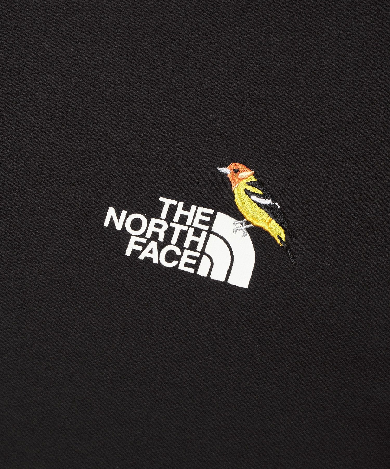THE NORTH FACE ザ・ノース・フェイス 長袖 Tシャツ レディース