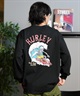 Hurley ハーレー 長袖 Tシャツ メンズ ロンT ヘビーウェイト バックプリント MCLS242026(SGE-M)