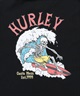 Hurley ハーレー 長袖 Tシャツ メンズ ロンT ヘビーウェイト バックプリント MCLS242026(SGE-M)
