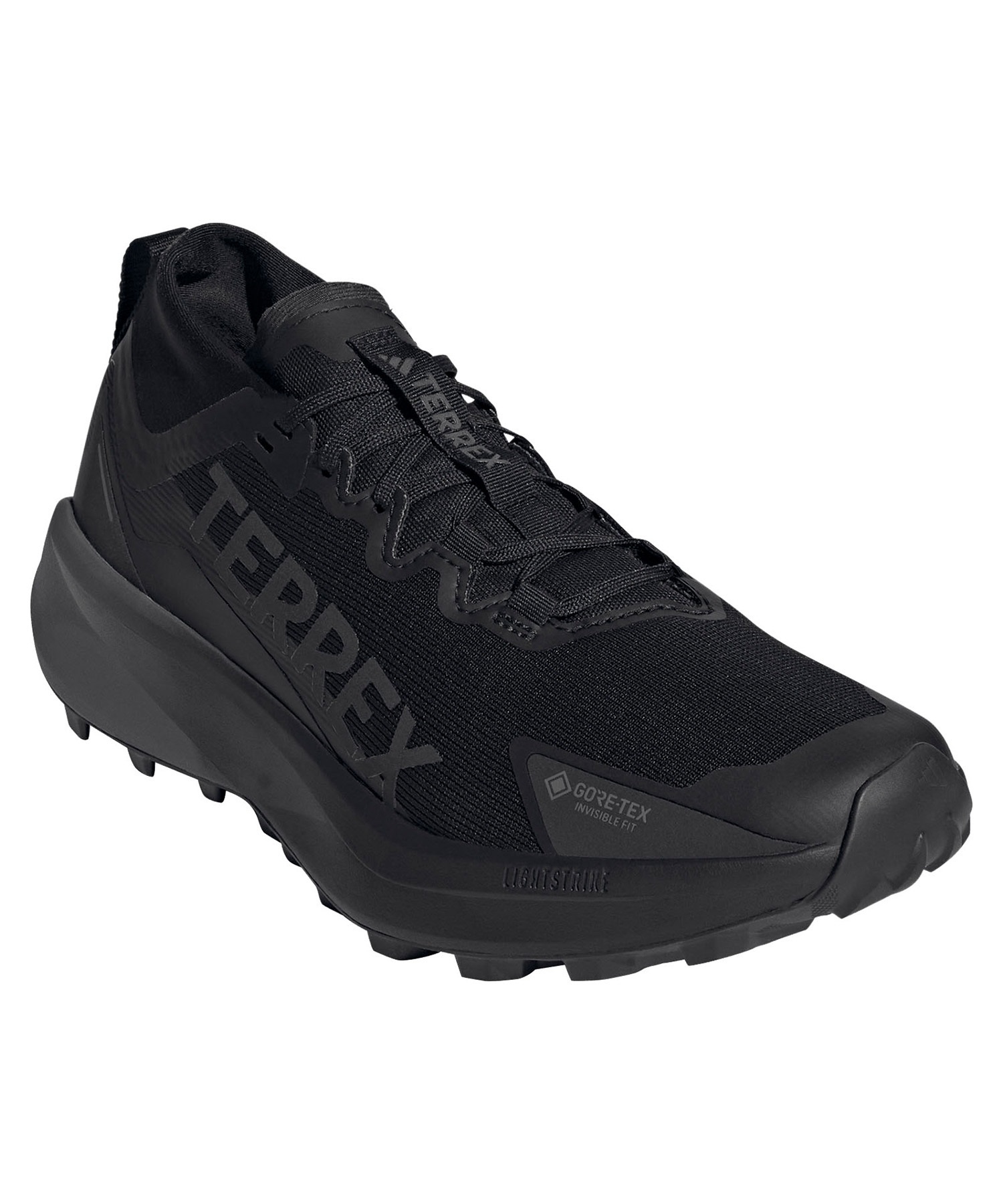 adidas アディダス スニーカー メンズ トレイル TERREX AGRAVIC GTX