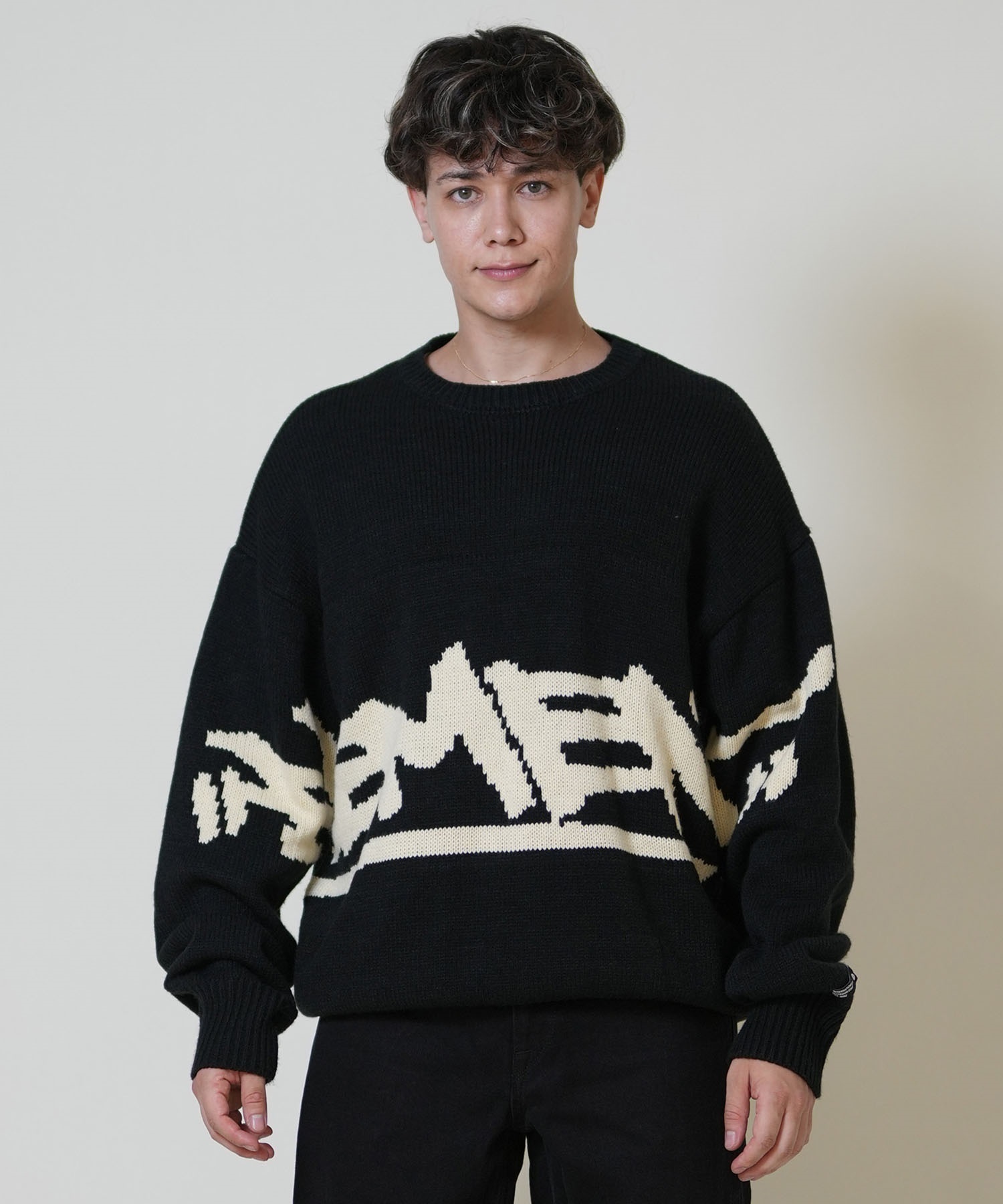 ELEMENT エレメント ニット セーター メンズ ロゴ TAG KNIT BF022-650