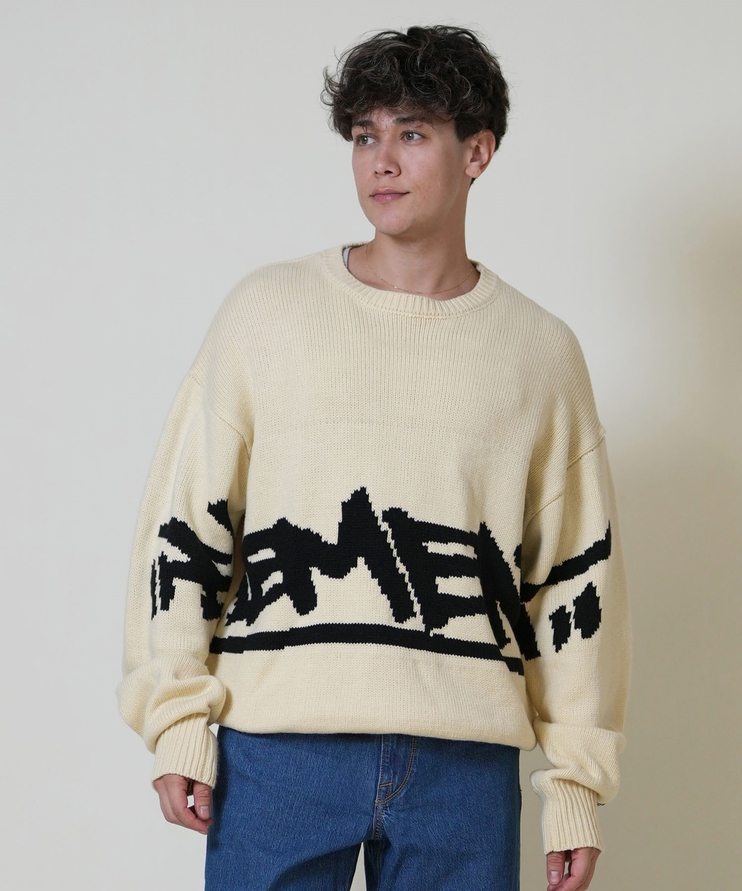 ELEMENT エレメント ニット セーター メンズ ロゴ TAG KNIT BF022-650