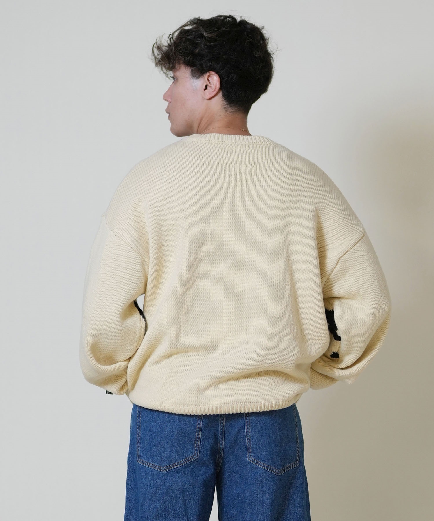 ELEMENT エレメント ニット セーター メンズ ロゴ TAG KNIT BF022-650 