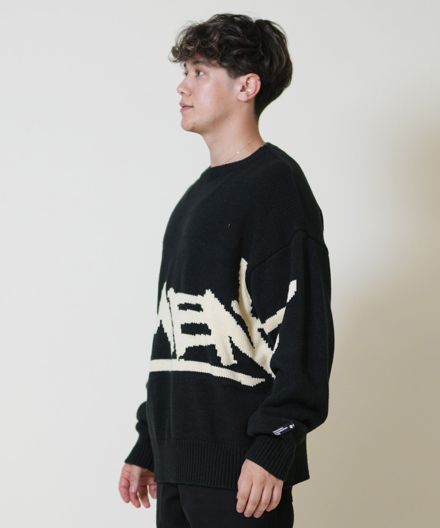 ELEMENT エレメント ニット セーター メンズ ロゴ TAG KNIT BF022-650 
