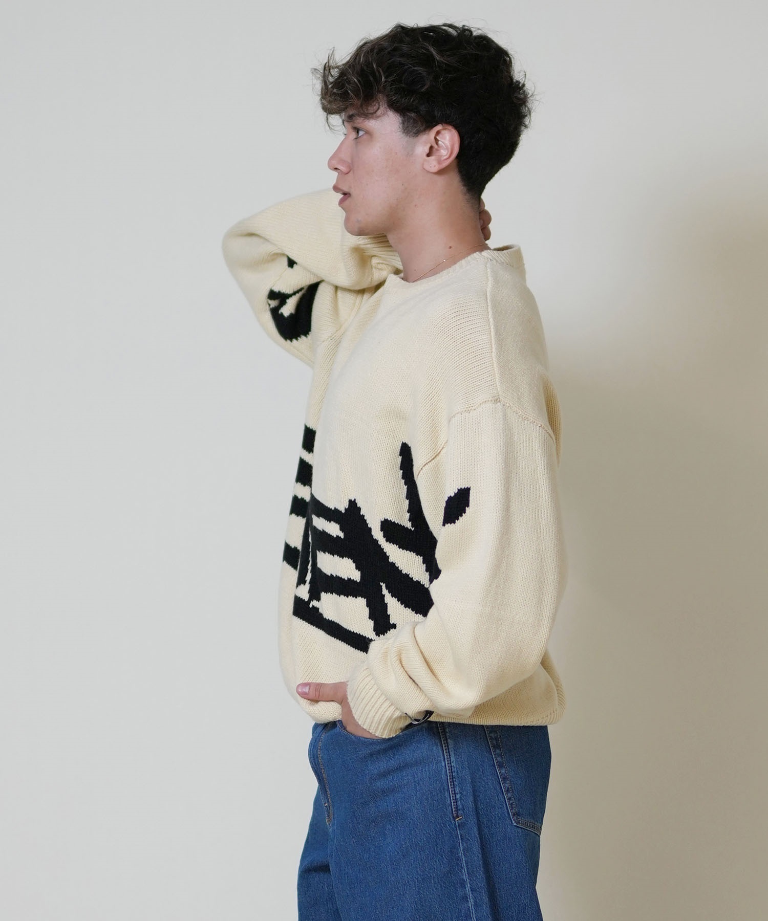 ELEMENT エレメント ニット セーター メンズ ロゴ TAG KNIT BF022-650 