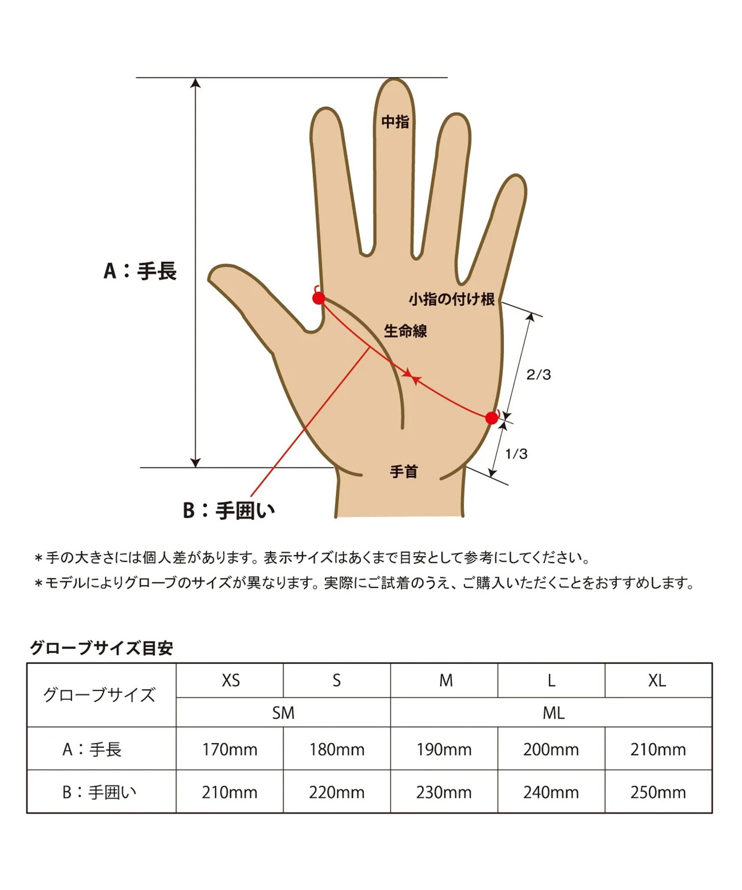 eb's エビス POLARTEC GRID INNER LIGHT WARM スノーボード インナーグローブ ユニセックス 25-26モデル MM H21 【2526】(BKBK-SM)