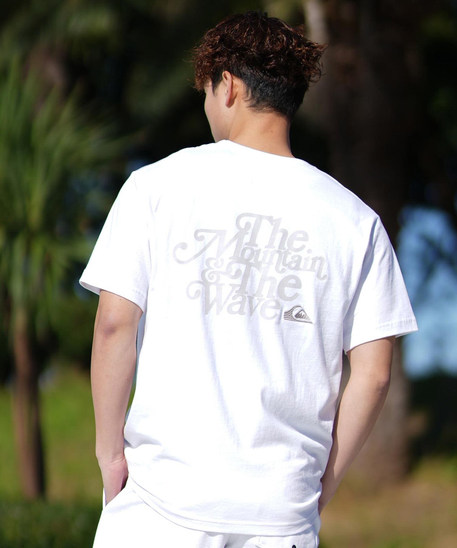 QUIKSILVER クイックシルバー 半袖 Tシャツ メンズ バック